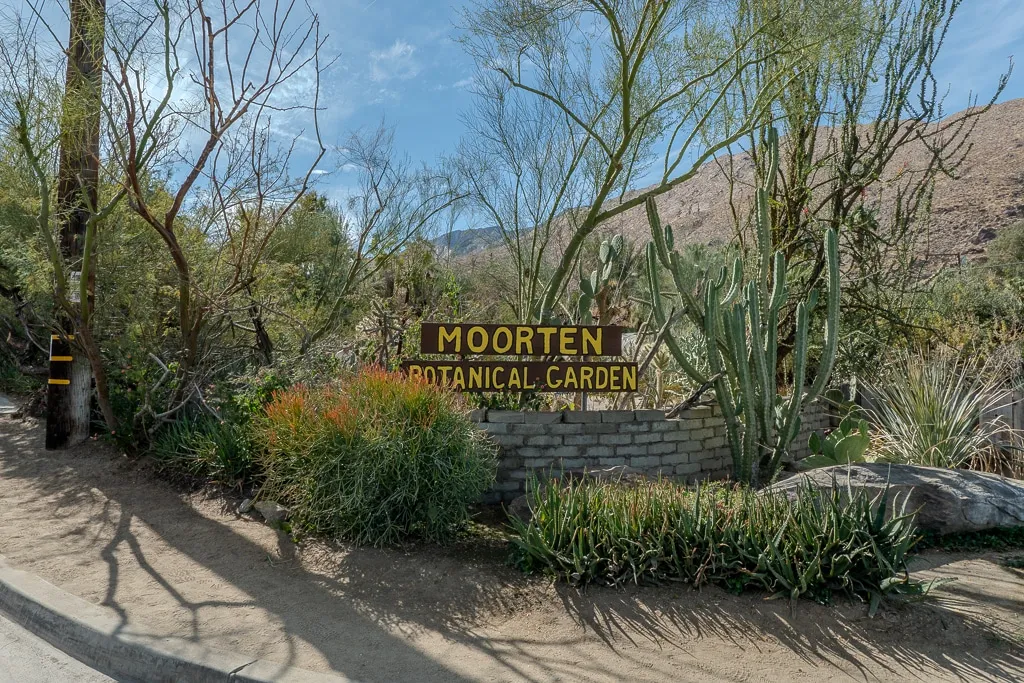 moorten_botanical_garden